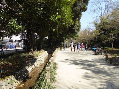 玉川上水、内藤新宿分水散步道(新宿皇家花园)